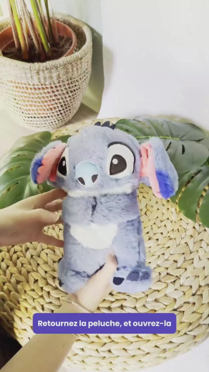 Charger la vidéo : 